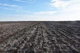 Tract 1 - 81.10 surveyed acres