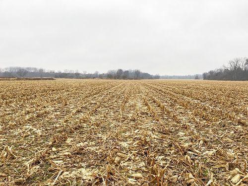 Tract 5 - 74.66 surveyed acres
