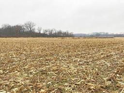 Tract 5 - 74.66 surveyed acres
