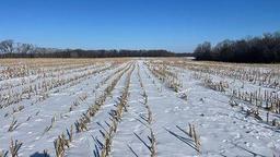 Tract 1 - 185.1 surveyed acres