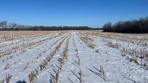 Tract 1 - 185.1 surveyed acres