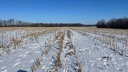 Tract 1 - 185.1 surveyed acres