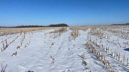 Tract 1 - 185.1 surveyed acres