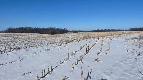 Tract 1 - 185.1 surveyed acres
