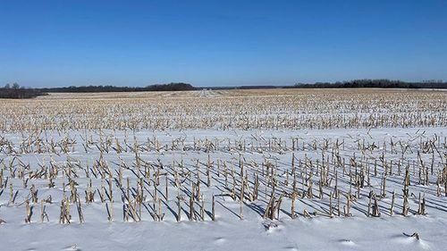 Tract 1 - 185.1 surveyed acres