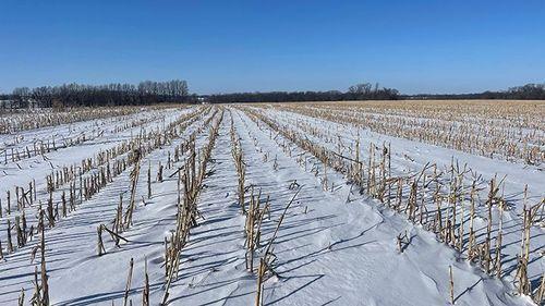 Tract 1 - 185.1 surveyed acres