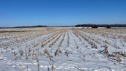 Tract 1 - 185.1 surveyed acres