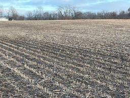 Tract 1 - 74 taxable acres+/-