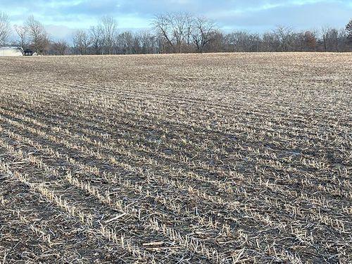 Tract 1 - 74 taxable acres+/-