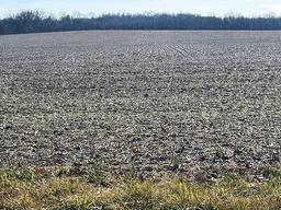 Tract 1 - 74 taxable acres+/-