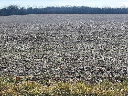 Tract 1 - 74 taxable acres+/-