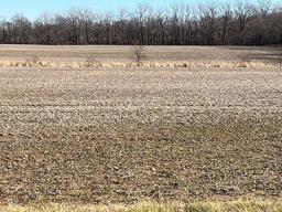 Tract 1 - 74 taxable acres+/-