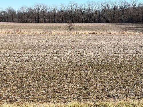 Tract 1 - 74 taxable acres+/-