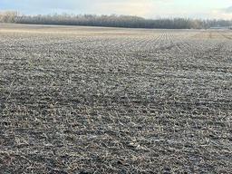 Tract 1 - 74 taxable acres+/-