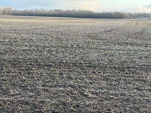 Tract 1 - 74 taxable acres+/-