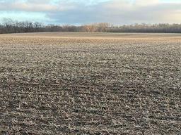 Tract 1 - 74 taxable acres+/-