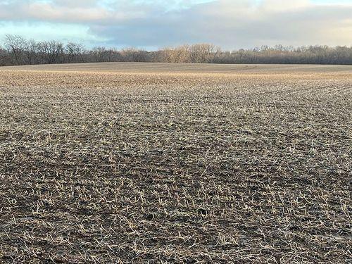 Tract 1 - 74 taxable acres+/-