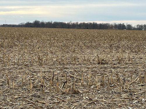 Tract 1 - 71.16 surveyed acres