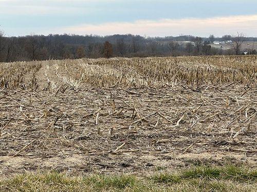 Tract 3 - 45.69 surveyed acres