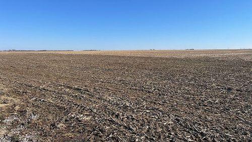Tract 3 - 155.5 surveyed acres