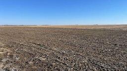 Tract 3 - 155.5 surveyed acres