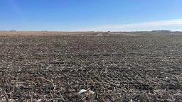 Tract 3 - 155.5 surveyed acres