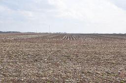 Tract 1 - 80 taxable acres