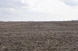 Tract 1 - 80 taxable acres