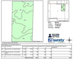 Tract 1 - 80 taxable acres