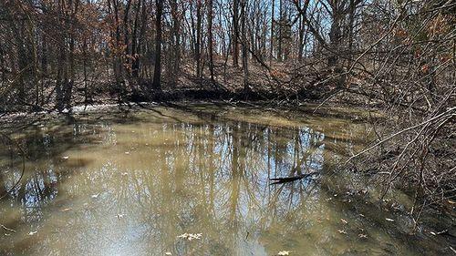 Tract 2 - 177.4 surveyed acres