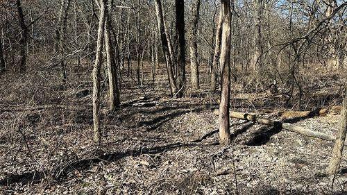Tract 2 - 177.4 surveyed acres