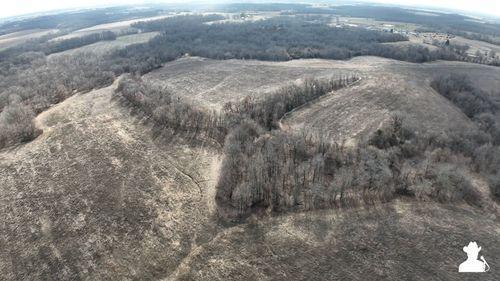 Tract 2 - 177.4 surveyed acres