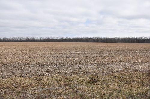 Tract 3 - 256.40 surveyed acres