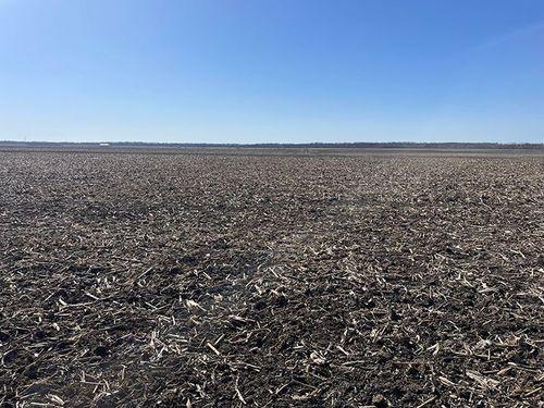 Tract 1 - 77.8 surveyed acres