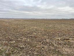 Tract 1 - 77.8 surveyed acres