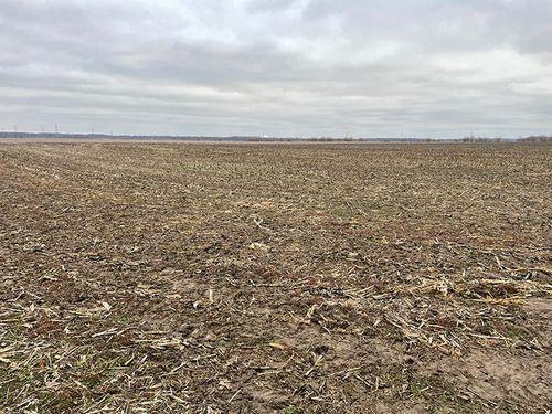 Tract 1 - 77.8 surveyed acres