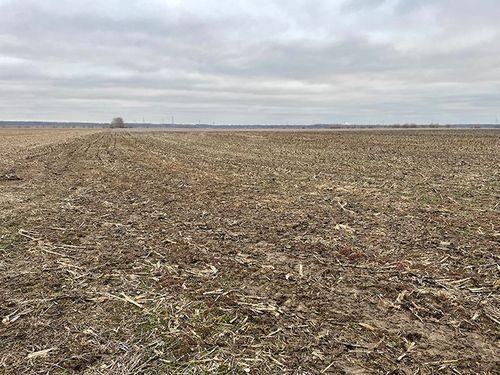 Tract 1 - 77.8 surveyed acres