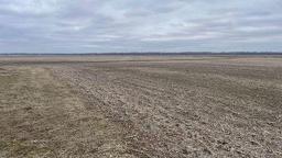 Tract 1 - 77.8 surveyed acres