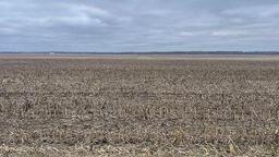 Tract 2 - 78.3 surveyed acres