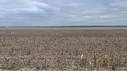 Tract 2 - 78.3 surveyed acres