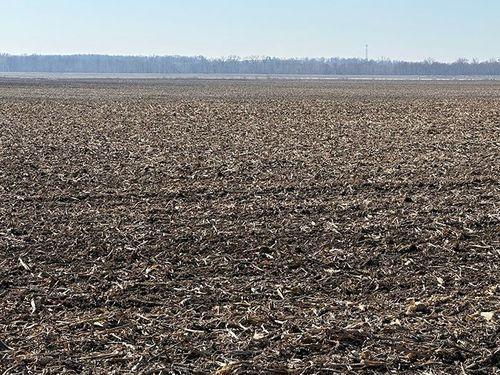 Tract 2 - 78.3 surveyed acres
