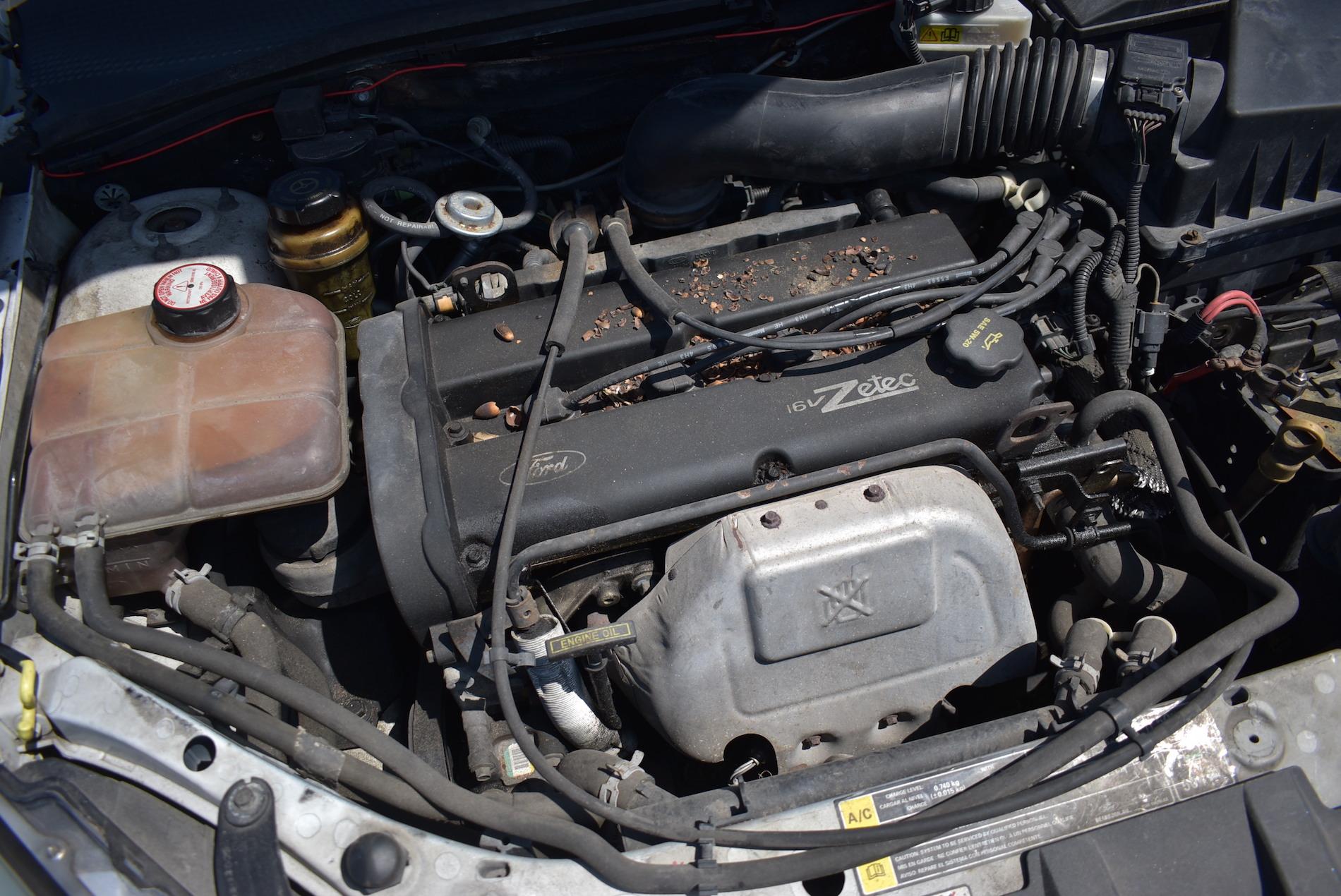 2001 Ford Focus Wagon