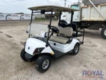 2019 Yamaha DR2E19 Electric Cart