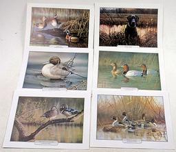 A Vintage US Stamp Album and Game Bird Prints
