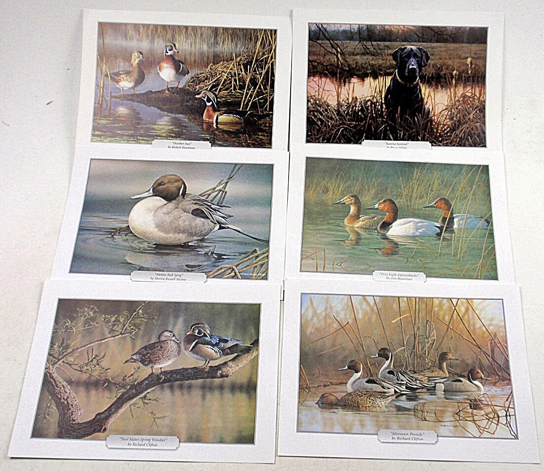 A Vintage US Stamp Album and Game Bird Prints