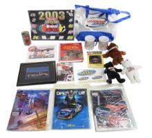 NASCAR Collectibles (16), includes D. Earnhardt Teddy's, souvenir programs, pencil signed print, ...