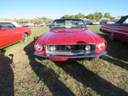 Ford Mustang Convertible
