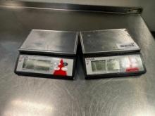 (2) Taylor TE10R scales