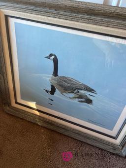 Canada goose by Richard Evans Younger signed