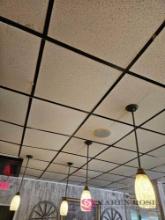 11 hanging lights